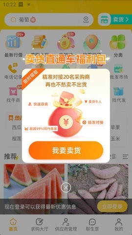 一亩田